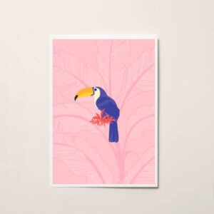 toucan affiche illustration