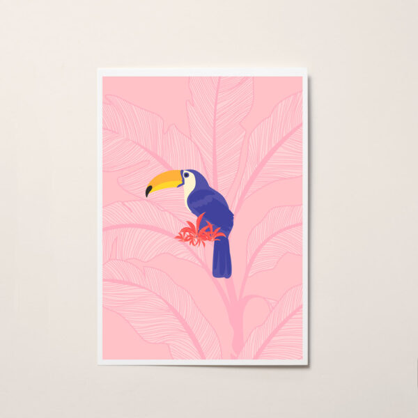 toucan affiche illustration