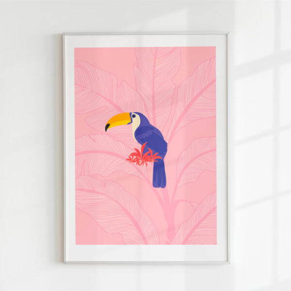 toucan illustration cadre